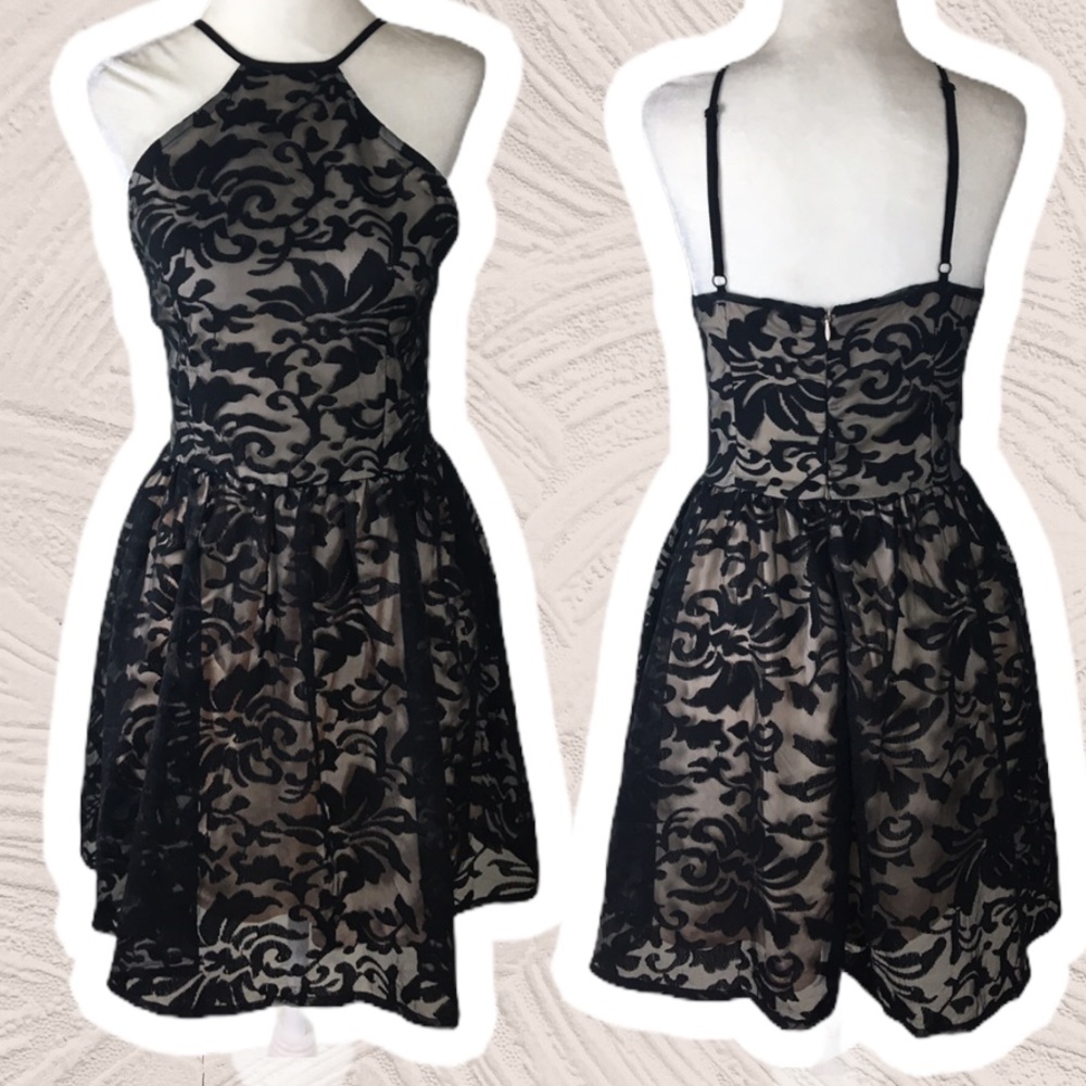 TOBI High Neck Fit & Flare Floral Lace Mini Dress